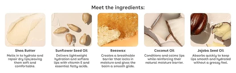 eos Natural Shea Lip Balm- Birthday Cake, All-Day Moisture Lip Care Products, 0.14 oz