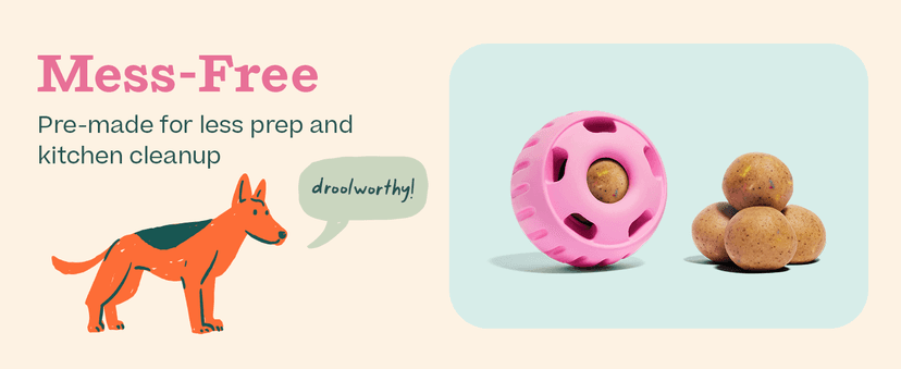 WOOF Pupsicle Birthday Pops - Healthy Dog Treats - Pre-Made Pupsicle Refills - Wholesome Ingredients - Naturally Sweet - Cake-Flavored Birthday Treat for Dogs - XL