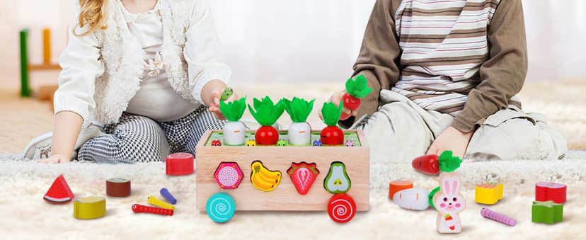 Toddlers Montessori Wooden Educational Toys for Baby Boys Girls Age 1 2 3 Year Old, Shape Sorting Toys 1st One First Birthday Girl Gifts for Kids 1-3, Wood Preschool Learning Fine Motor Skills Game