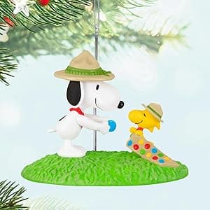Hallmark Paper Wonder Peanuts Pop Up Valentines Day Card (Snoopy and Woodstock)