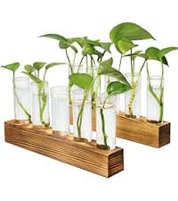 Unique Gardening Birthday Gifts for Women Plants Lovers, Home Office Garden Decor Planter - 3 Bulb Glass Vases Renmxj Plant Propagation Station, Plant Terrarium with Wooden Stand B096VDR4TM
