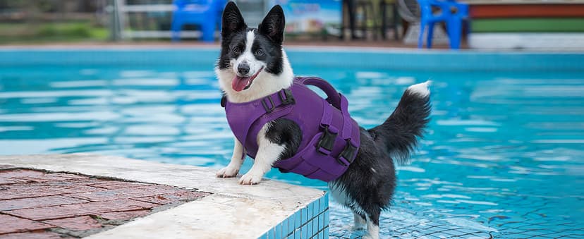 Kuoser Dog Life Jacket High Flotation, Reflective Dogs Life Vest for Swimming Boating, Adjustable Small Medium Large Dog lifejacket, Lightweight Dogs Life Preserver Rescue Handle Spring Summer Pool