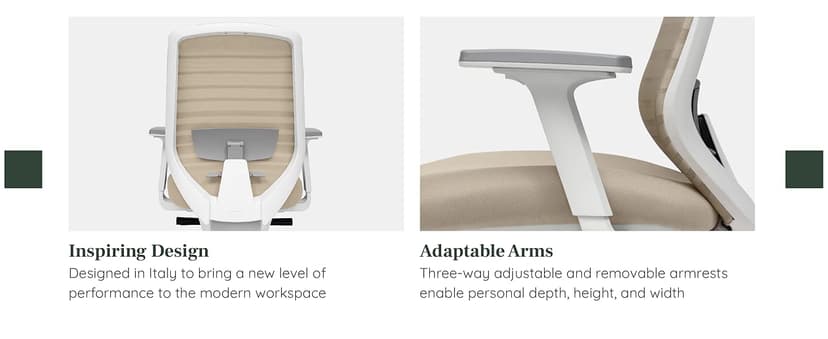 Branch Ergonomic Chair - A Versatile Desk Chair with Adjustable Lumbar Support, Breathable Mesh Backrest, and Smooth Wheels - Experience Optimal Comfort and Support - Graphite - White