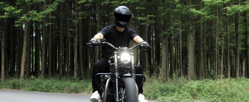TRIANGLE Full Face Motorcycle Helmet DOT Approved, Street Bike Racing Helmet for Men Women with Tinted & Clear Visors & Carrying Bag