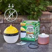 Spectracide Wasp, Hornet & Yellowjacket Trap, Hanging Wasp & Hornet Trap with a Quick-Drown Formula That Submerges & Kills Insects, 1 Count