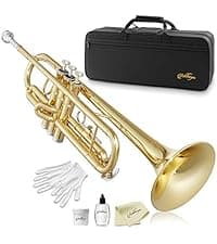 Ashthorpe 38-inch Beginner Acoustic Guitar Package (Black), Basic Starter Kit w/Gig Bag, Strings, Strap, Tuner, Pitch Pipe, Picks