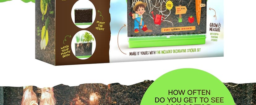 Birthday Gifts for Boy, Girl 4, 5, 6, 7, 8, Year Old - Science STEM Toy & Craft Growing Kits for Ages 4-8, 6-8 Years Root Viewer Kit for Kids - Grow Your Own Plant for Boys & Girls Gifts B0CRK33YXD