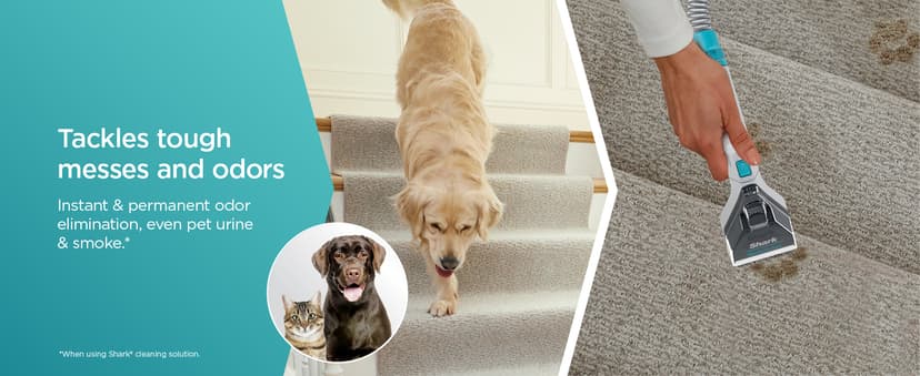 Shark StainStriker Portable Carpet, Upholstery & Area Rug Cleaner with Pet Mess Tool, Stain & Odor Remover, Perfect for Car Interiors, Includes 3 Cleaning Tools & Cleaning Solution, White, PX201