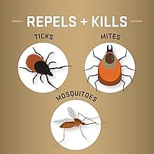 Repel Permethrin Clothing & Gear Insect Repellent, Use on Outdoor Gear, Tents and Sleeping Bags, Repels Mosquitoes, Ticks, Mites, (Aerosol Spray) 6.5 fl Ounce