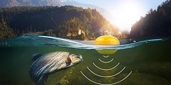 Venterior Portable Rechargeable Fish Finder Wireless Sonar Sensor Fishfinder Depth Locator with Fish Size, Bottom Contour, Color LCD Display
