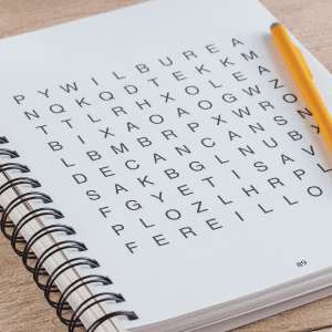 Brain Games - Word Searches - Large Print (Red) (Brain Games Large Print)