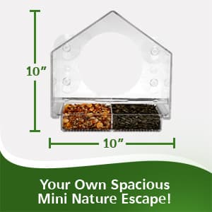 Nature Anywhere Window Bird Feeder - Transparent Acrylic Bird Feeders for Outdoors - Enhanced Suction Grip, Bird Watching for Cats, Easy-to-Clean, Outdoor Birdhouse Feeder (1 Unit)