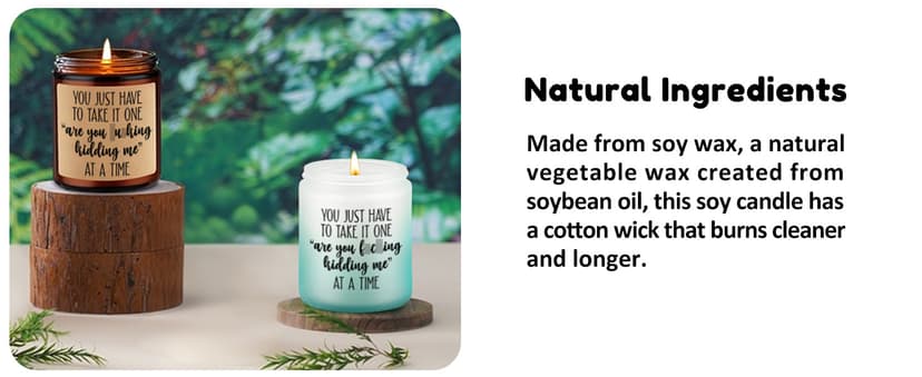 Christmas, Funny Birthday Gifts for Coworkers, Best Friend, Employee, Boss, Female, Male, Woman, Cool Sarcastic Work Ideas LEADO Candles, Boss Lady, Coworker Gifts for Women, Men - Bosses Day Gifts B08SPYC6RX