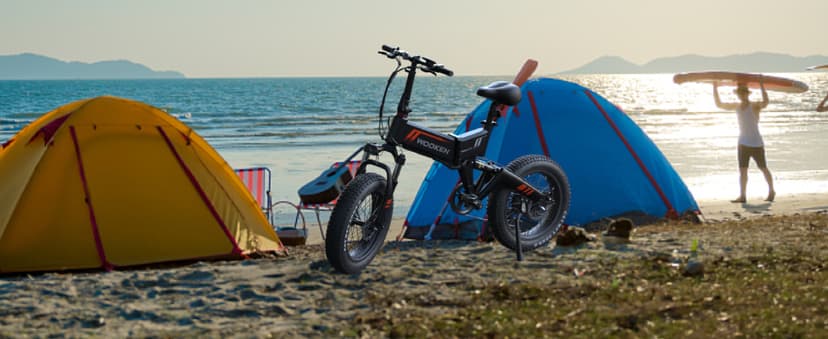 TotGuard Electric Bike,20" Electric Bike for Adults Peak 750W Brushless Motor,20MPH Fat Tire Ebike,Foldable Adult Electric Bicycles with 48V 10Ah Removable Battery,7-Speed,SGS Certified to UL 2849