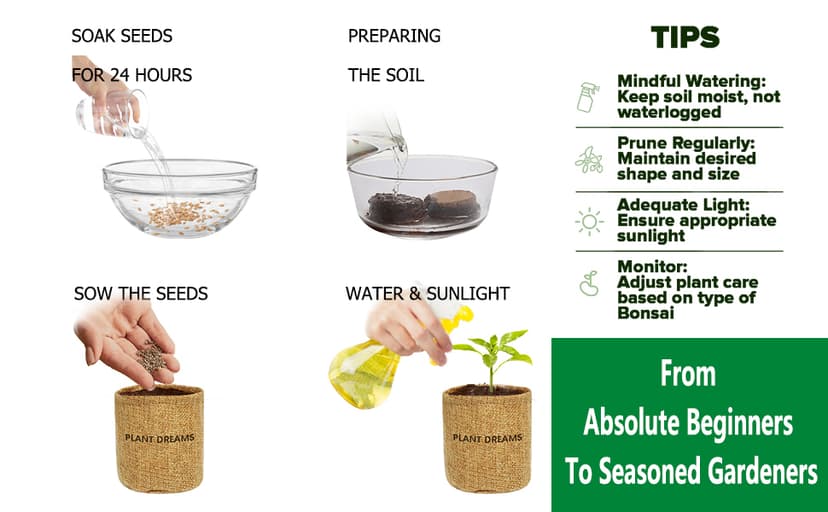 Bonsai Tree Kit – DIY Japanese Bonzai Trees with All-in-One Indoor Plant Growing Tools & Planters – Unique Gardening Gifts for Women, Men & Kids