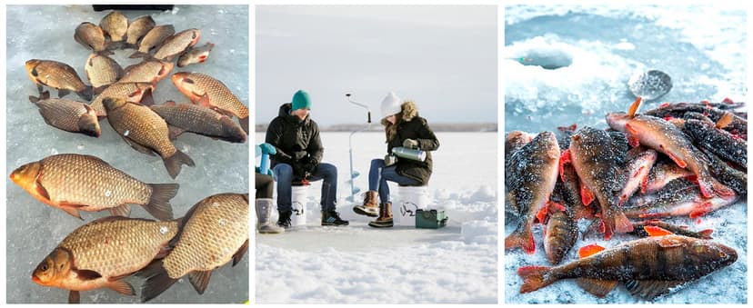 Sougayilang Ice Fishing Rod and Reel Set, Ice Fishing Includes Ice Jigs, Lures, and Essential Tackle,27" Medium/Light Power Ice Spinning Rod,EVA Foam Grip Handle