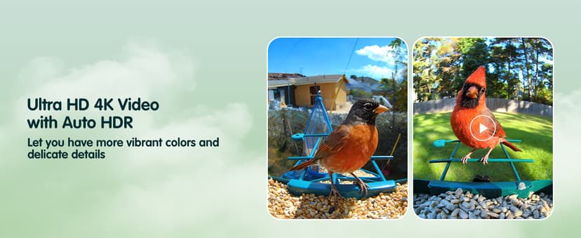 4K Ultra HD Video with Live View,10x Slow Motion,AI Smart Bird Feeder with Camera,2.4G/5G Wi-Fi,Durable Metal,Bird Lover Gift 4K Smart Bird Feeder with Camera,No Subscription,Solar Powered B0FMDP272Y