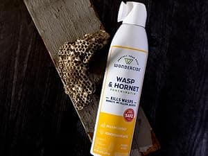 Wondercide - Wasp and Hornet Killer Aerosol Spray with Natural Essential Oils - Kill Wasps, Hornets,and Yellow Jackets - for Porch, Patio, and Outdoor Areas - Pet and Family Safe - 10 oz - 2 Pack