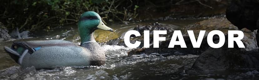 Realistic Mallard Duck Models That Hunting Enthusiasts Love as decoys and Ornaments