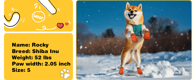 Hcpet Dog Shoes, Dog Boots & Paw Protectors for Winter Snowy Days, Rainy Weather, Outdoor Anti-Slip Sole Dog Booties for Hardwood Floor Black-Leg 1