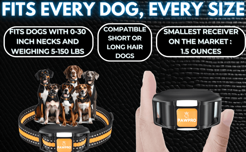 Dog Shock Collar with Remote, Unmatched 4-Mile Range, Night-Light Mode, Training Guide Included, 124 Training Levels & 4 Modes, Beep Vibration Shock, Waterproof Rechargeable, Fits All Dogs (1 Collar)