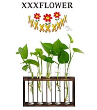 XXXFLOWER Plant Terrarium with Wooden Stand, Air Planter Bulb Glass Vase Metal Swivel Holder Retro Tabletop for Hydroponics Home Garden Office Decoration - 3 Bulb Vase