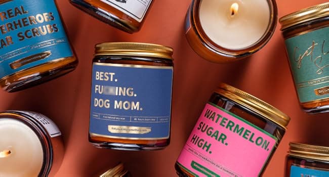 Best Dog Mom Funny Scented Candle - Dog Mom Gifts for Women for Birthday Christmas Mothers Day Thanksgiving - Birthday Gift from Dogs, Fur Mama Gift Ideas, Animal Decor - Pet Lovers Candle