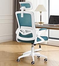 Fizzin Ergonomic Office Chair, 400 LBS Computer Chairs with Adjustable Lumbar Support, Breathable Mesh Desk Chair Ergonomic with Thickened Cushion, Comfy Home Office Desk Chair (Black)