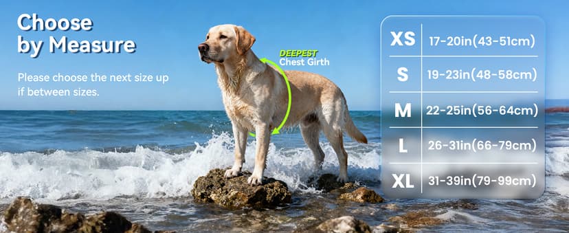 VIVAGLORY Sports Style Dog Life Vest, Dog Life Jacket for Swimming & Boating, Ripstop & Buoyancy for Puppy Doggy, Lifejacket with Handle, M, Blue