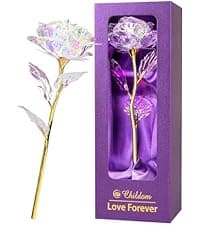 Childom Birthday Gifts for Women,Flowers for Delivery Prime,Colorful Rainbow Light Up Rose in A Glass Dome,Christmas Rose Gifts for Her Mom Women Wife Girl Grandma on Christmas Anniversary Valentines