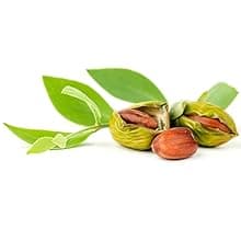 10 Pack Hand Cream for Dry Cracked Hands, Birthday Gifts for Women,Bridesmaid Gifts, Thank You Gifts, Teacher Appreciation Gifts, Natural Plant Fragrance Mini Hand Lotion Moisturizing Hand Care Cream