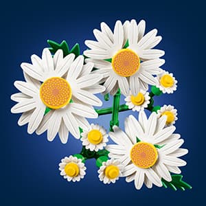 Building Toys for Girls & Boys, Ages 9+, Artificial Flowers Craft Kit, Home Décor & Display, 133 Pieces, Gift for Kids LEGO Botanicals Daisies 11508 B0FMS7CRHX