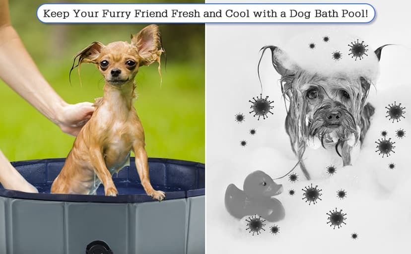 Foldable Dog Pool, Portable Pet Bath Tub and Kiddie Swimming Pool, Collapsible Bathtub for Puppies, Small, Medium and Large Dogs, Cats and Kids, 32 x 8 in, Gray