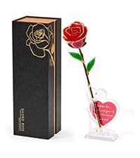 Mikasol Gold Dipped Real 24K Gold Rose, 1 Pack Infinity Flower Decor Hand Dipped in 24K Romantic Rose Gifts for Women in Her Wife Girlfriend Birthday Anniversary Valentines Mothers Day Christmas B0CC5R3S9V