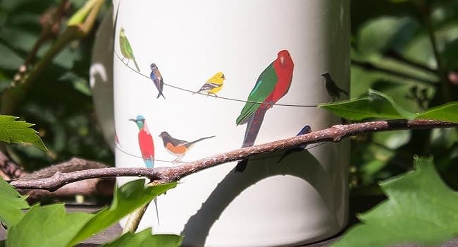 The Unemployed Philosophers Guild Birds on a Wire Heat Changing Mug - Add Coffee and Colorful Birds Appear, Comes in a Fun Box