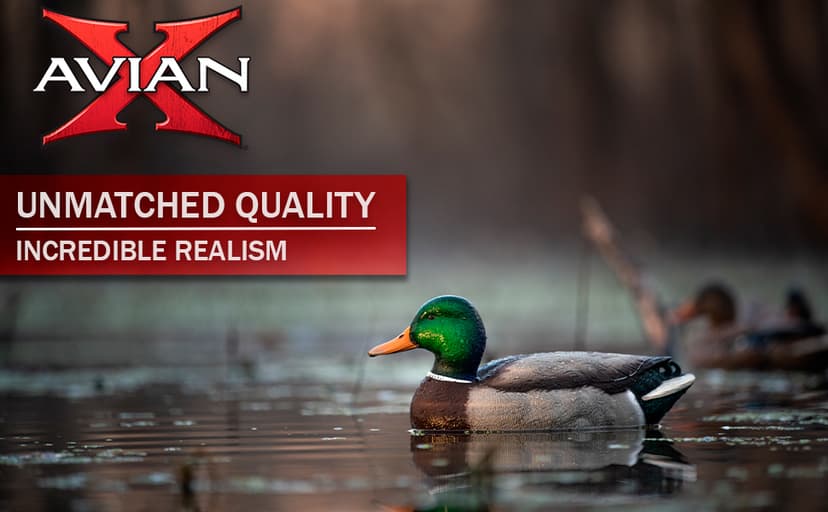 Avian-X Powerflight Smart Motion Mallard Spinning Wing Duck Decoy, Ideal for Hunting, Outdoor, Wasp, Deer, Bee Deterrent, Fake Call, Animal Scare