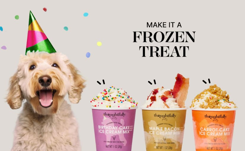 Thoughtfully Pets, Blue Dog Birthday Cookie Gift Set, Hand Decorated Crunchy Dog Treats in Bone Shapes, Great for Birthdays, Set of 8