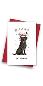 Funny Christmas Cards with Envelopes, Naughty Christmas Gifts for Boyfriend Husband Men, Unique Christmas Gift ideas for Him, Cute Merry Christmas Card Gifts from Wife Girlfriend