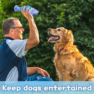 WinTour Tough Dog Toys for Aggressive Chewers, Indestructible Dog Chewers for Medium & Large Breeds, Squeaky Durable Chew Toys to Keep Them Busy, Reduce Boredom, Teeth Cleaning, Bacon Flavor