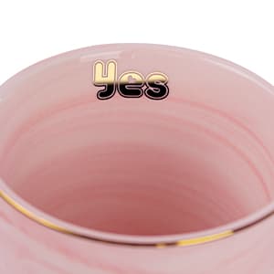 Valentines Spiritual Motivational Congratulations Gifts, 14oz Pink Ceramic Marble Gold Print Coffee Cup, Nicely Gift Boxed Graduation Gifts for Women Her 2026 - She Believed She Could So She Did Mug B0CZ993XBN