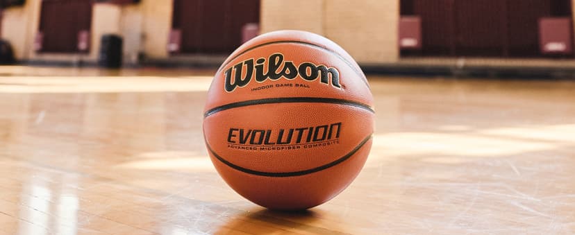 WILSON Evolution Indoor Game Basketballs - Size 5, Size 6 and Size 7