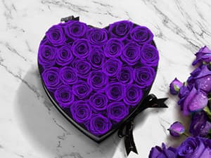 16 Preserved Flowers Rose in a Box, Gifts for Women Mom Her Wife on Mothers Day Valentines Birthday Christmas Anniversary Romantic(Red)