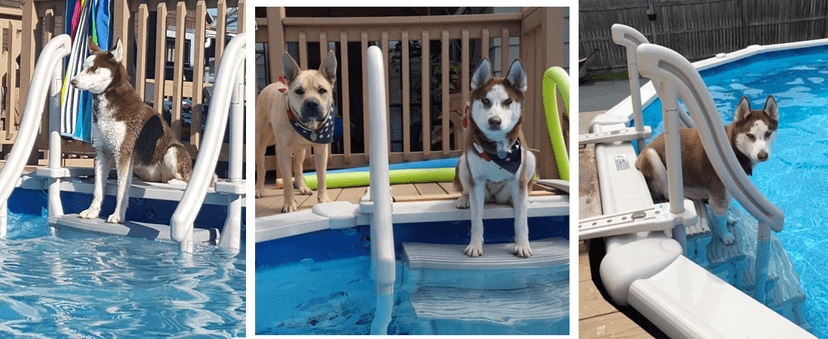 Confer Plastics Curve CCX-AG Drop in Above Ground Pool Step with Blue Treads - Base Step with Add-On