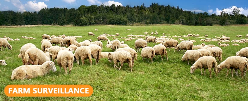 Trail Camera, 60MP Hunting Camera with WiFi, 32GB TF Card, Night Vision, Motion Activated, IP66 Waterproof, 120°Wide-Angle for Deer Scouting or Home Security, APP Control, H.264 MP4 Video