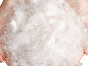 6 PCS Christmas Catnip Toys with Gift Box, Cat Toys Set for Christmas, Interactive Cat Chew Toy for Indoor Cats Kittens Kitty