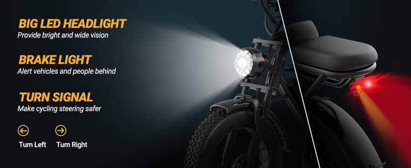 Fat Tire Electric Dirt Bike 750w for Adults 20" Full Suspension Electric Motorcycle Ebikes 48V 18AH Removable Battery,31MPH Top Speed,LED Headlights, Turn Signals,40-70 Miles Range