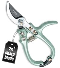 Modern Sprout Rooted Candle - 2 in 1 Cedarwood Scented & Soy Candle with Seeds That Grows into Lavender Plant - 6 oz w/ 42 hr Burn time in Matte Glaze Ceramic Vessel Ideal for Indoor Herb Garden