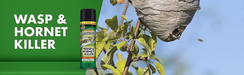 Spectracide Wasp & Hornet Killer Aerosol Kills Wasps, Hornets And Yellow Jackets On Contact & Eliminates The Nest, 12 Pack