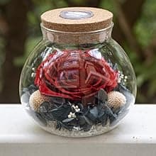 Preserved Real Roses with Colorful Mood Light Wishing Bottle, Eternal Rose,Never Withered Flowers, Table Decor,Christmas Anniversary Valentine's, Blue 4.3inch, 1pcs B07DT2GBT2