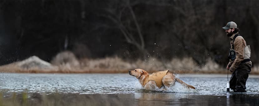 SportDOG FieldTrainer 425X - Remote Trainer Designed for Off-Leash Control & Training - 500-Yard Range - Waterproof - Quick Charge-Collar with 21 Levels of Static, Tone, & Vibration